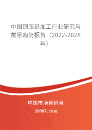 中国钢压延加工行业研究与前景趋势报告(2022-2028年)